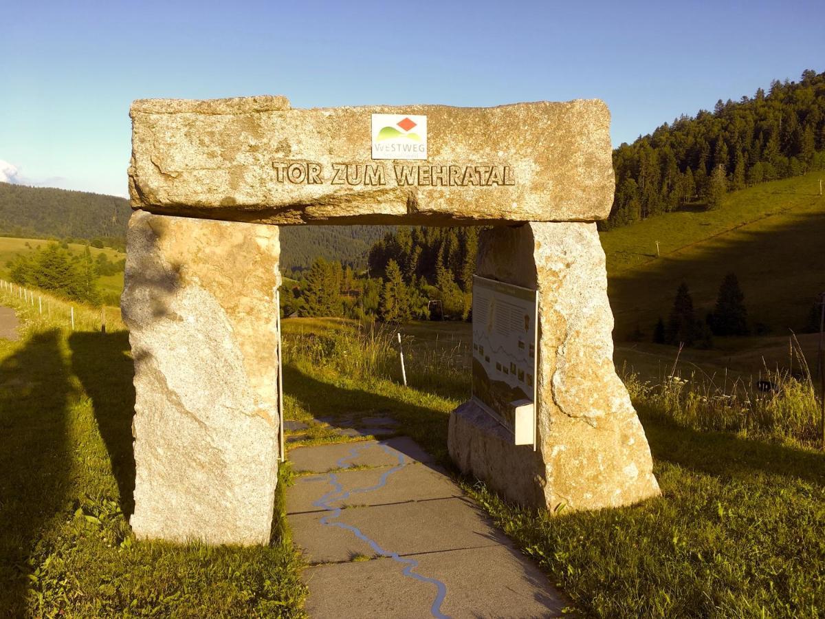 Ferienwohnung Schwarzwald ทอดท์โมส ภายนอก รูปภาพ