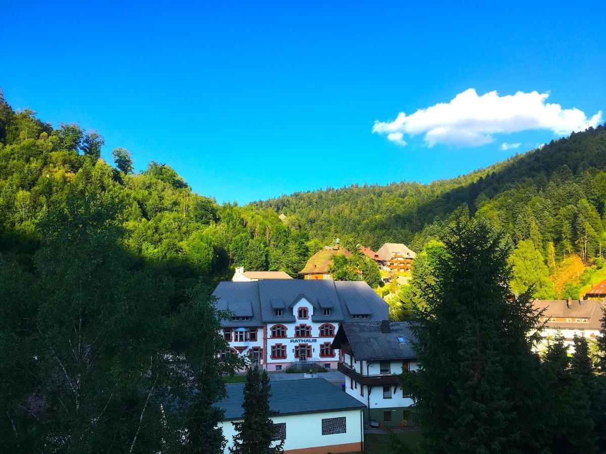 Ferienwohnung Schwarzwald ทอดท์โมส ภายนอก รูปภาพ