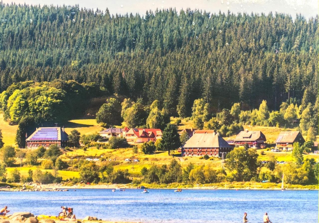 Ferienwohnung Schwarzwald ทอดท์โมส ภายนอก รูปภาพ