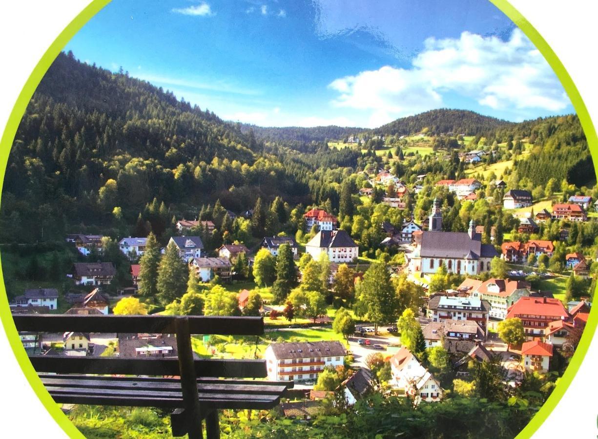 Ferienwohnung Schwarzwald ทอดท์โมส ภายนอก รูปภาพ