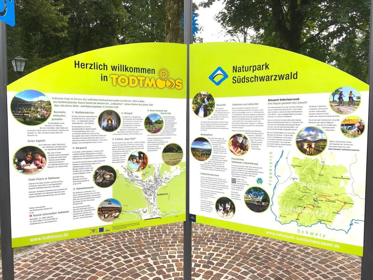 Ferienwohnung Schwarzwald ทอดท์โมส ภายนอก รูปภาพ